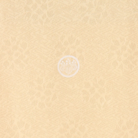 色留袖レンタルIRB2304 A3(身長165cm前後、9-13号、ヒップ85-100cm)